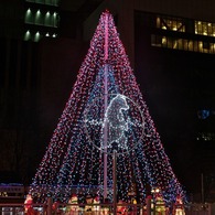 White Illumination 18
