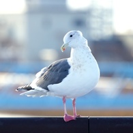 私を見て♪