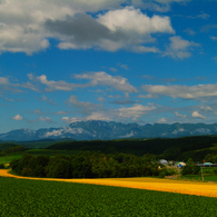 北の大地　2005北海道美瑛 (2)
