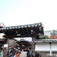 Ishi-kun_7504