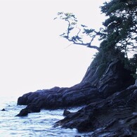 三浦海岸