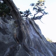 三浦海岸