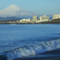 気に入りました。