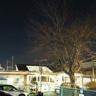 しなの鉄道の夜 (21)御代田駅