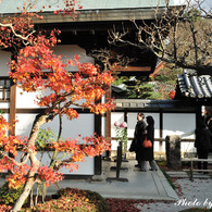 Ishi-kun_7529