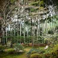 京都　大原三千院