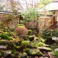 京都　大原三千院