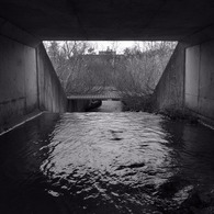 R0010833