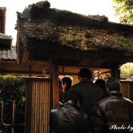 Ishi-kun_7554