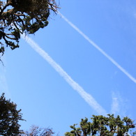 仲良し飛行機