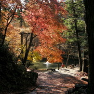 ひなたぼっこ…（多分）