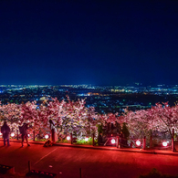 まつだ桜まつり2