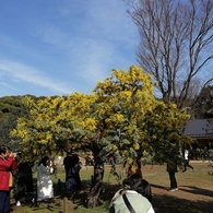 春の光景