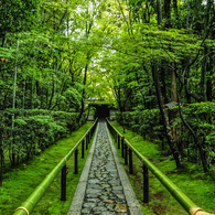 九年前の高桐院