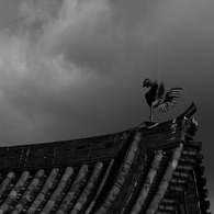 鳳凰
