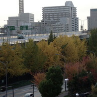 名古屋高速-千早付近