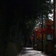 法然院への道
