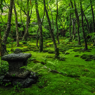 九年前の祇王寺