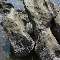 三浦海岸