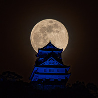 青い岐阜城と満月～フラワームーン～