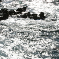 三浦海岸