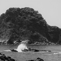 荒崎