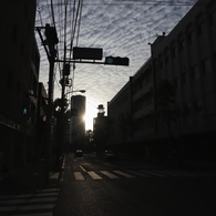 朝（１）