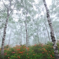 八千穂高原 (2)