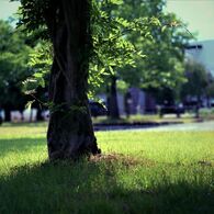 芦付公園にて