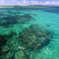 GREAT BARRIER REEF