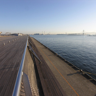 ⑦横浜大さん橋