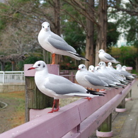 私に・・・何か？