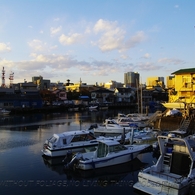 photo_980760