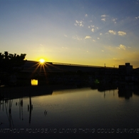 photo_980761