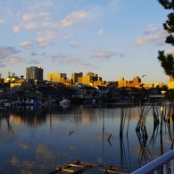 photo_980762