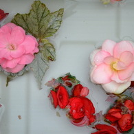 水と花