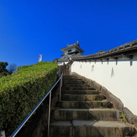 掛川4