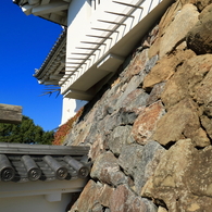 掛川6