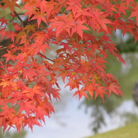 CCDの備忘録Pro1②