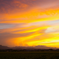 夏の夕景