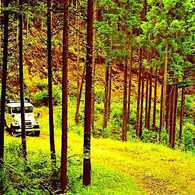 BJ44Vのある風景 I