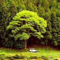BJ44Vのある風景 IX