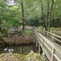 秋 池 橋 小魚