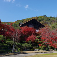 大山崎美術館の紅葉