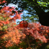 夏の忘れ物？