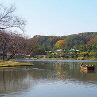 庭園の池