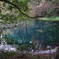 秋彩の丸池様-2