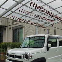 ぜーにく解消 ②