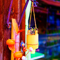 Sigma シグマ のレンズ 30mm F1 4 Dc Hsm ペンタックス用 で撮影した写真 画像 一覧 写真共有サイト Photohito