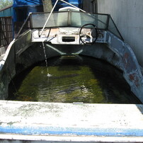 CANON(キヤノン)のデジタルカメラPowerShot A550 で撮影した写真